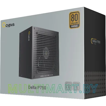 Блок питания Ocypus Delta P750 750W (Delta-P750-B1FDBK024X-EU) картинка 5